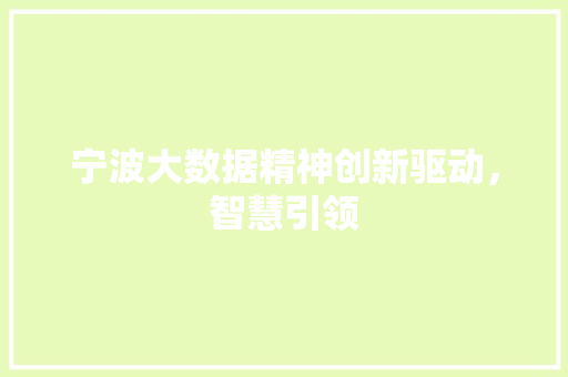 宁波大数据精神创新驱动，智慧引领  第1张