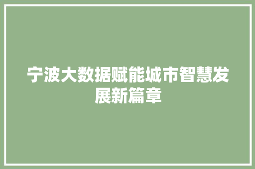 宁波大数据赋能城市智慧发展新篇章  第1张