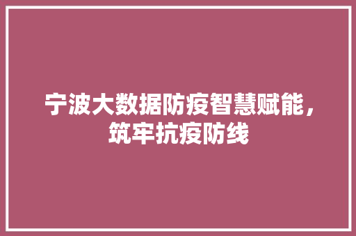 宁波大数据防疫智慧赋能，筑牢抗疫防线  第1张