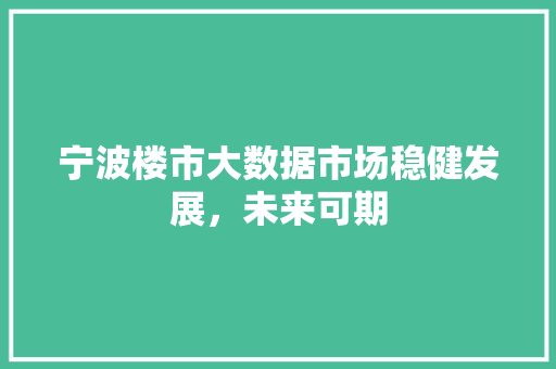 宁波楼市大数据市场稳健发展，未来可期  第1张