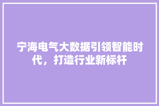 宁海电气大数据引领智能时代，打造行业新标杆