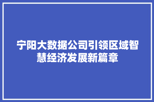 宁阳大数据公司引领区域智慧经济发展新篇章