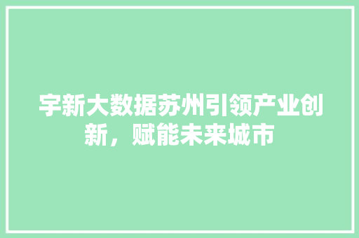 宇新大数据苏州引领产业创新，赋能未来城市