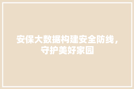 安保大数据构建安全防线，守护美好家园