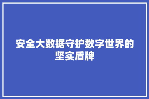 安全大数据守护数字世界的坚实盾牌  第1张