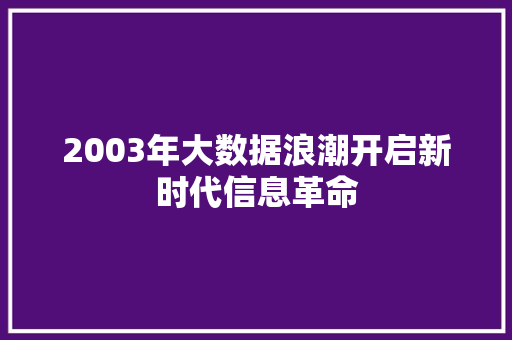 2003年大数据浪潮开启新时代信息革命