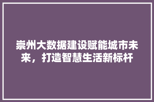 崇州大数据建设赋能城市未来，打造智慧生活新标杆