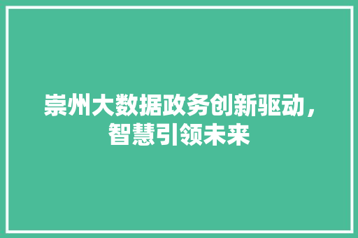 崇州大数据政务创新驱动，智慧引领未来
