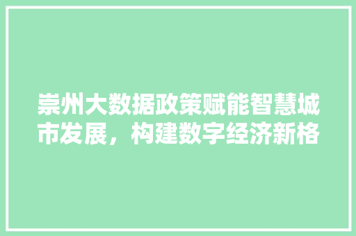 崇州大数据政策赋能智慧城市发展，构建数字经济新格局