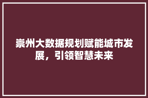 崇州大数据规划赋能城市发展，引领智慧未来