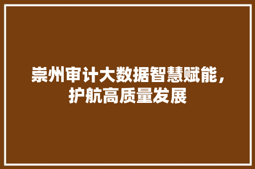 崇州审计大数据智慧赋能，护航高质量发展