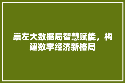 崇左大数据局智慧赋能，构建数字经济新格局