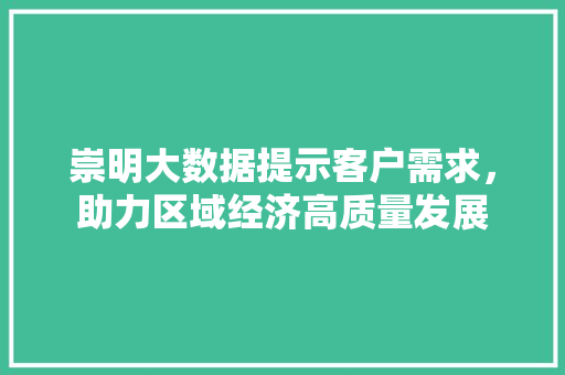 崇明大数据提示客户需求，助力区域经济高质量发展
