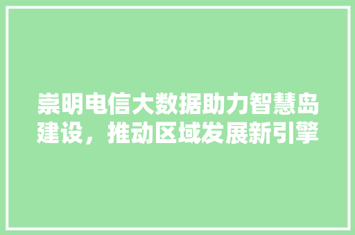 崇明电信大数据助力智慧岛建设，推动区域发展新引擎