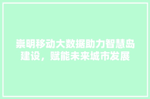 崇明移动大数据助力智慧岛建设，赋能未来城市发展