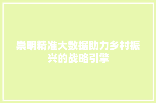 崇明精准大数据助力乡村振兴的战略引擎