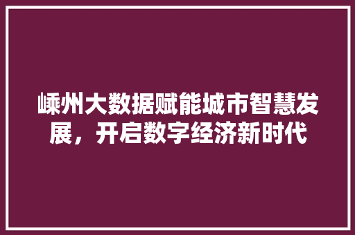嵊州大数据赋能城市智慧发展，开启数字经济新时代