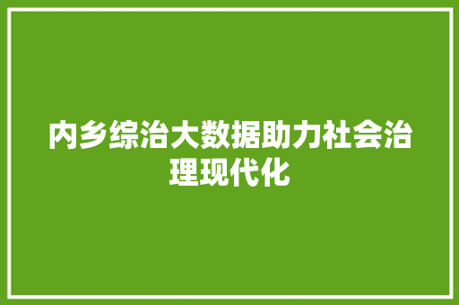 内乡综治大数据助力社会治理现代化