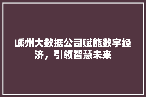 嵊州大数据公司赋能数字经济，引领智慧未来