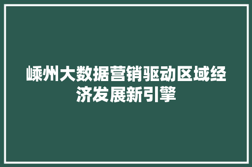嵊州大数据营销驱动区域经济发展新引擎