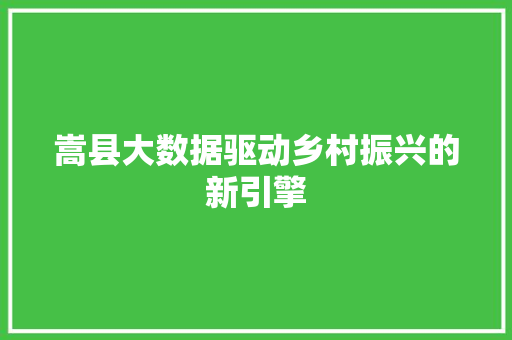 嵩县大数据驱动乡村振兴的新引擎