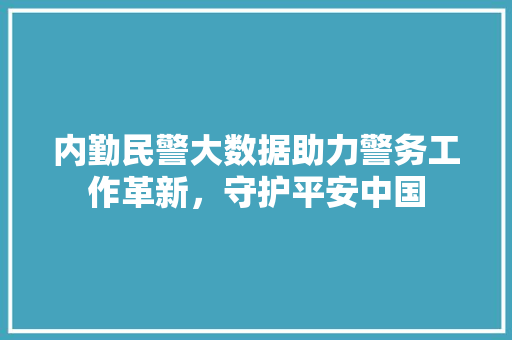 内勤民警大数据助力警务工作革新，守护平安中国