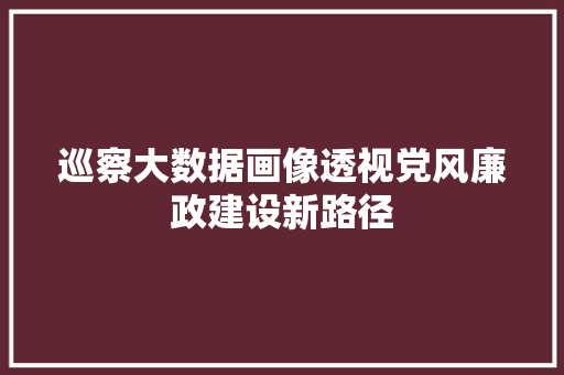 巡察大数据画像透视党风廉政建设新路径