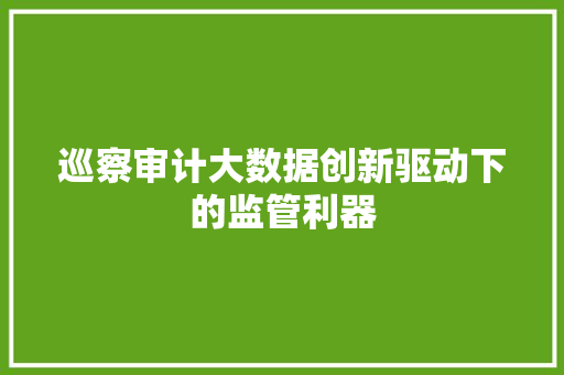 巡察审计大数据创新驱动下的监管利器