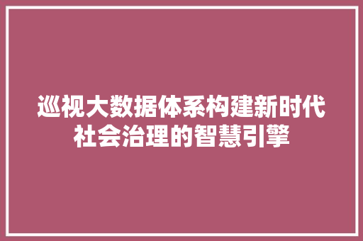 巡视大数据体系构建新时代社会治理的智慧引擎