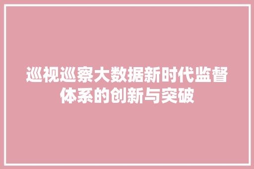 巡视巡察大数据新时代监督体系的创新与突破