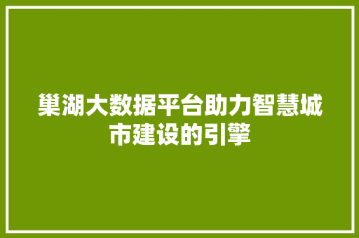 巢湖大数据平台助力智慧城市建设的引擎