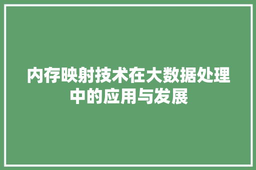 内存映射技术在大数据处理中的应用与发展
