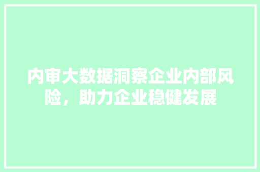 内审大数据洞察企业内部风险，助力企业稳健发展