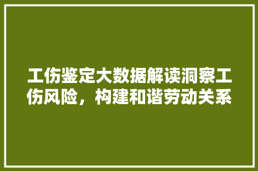工伤鉴定大数据解读洞察工伤风险，构建和谐劳动关系