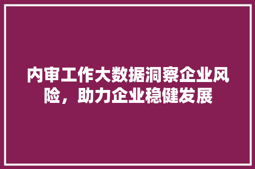 内审工作大数据洞察企业风险，助力企业稳健发展