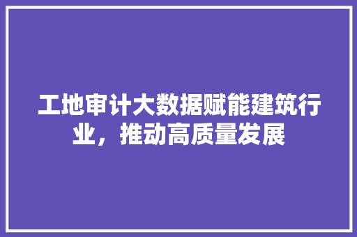 工地审计大数据赋能建筑行业，推动高质量发展