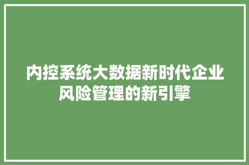内控系统大数据新时代企业风险管理的新引擎
