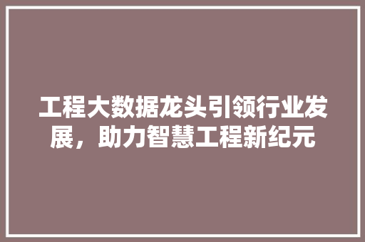工程大数据龙头引领行业发展，助力智慧工程新纪元