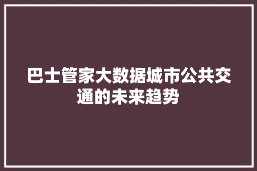 巴士管家大数据城市公共交通的未来趋势