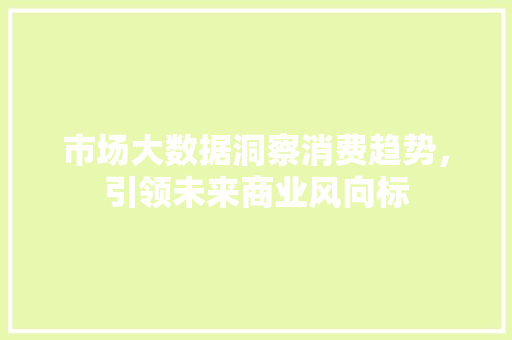 市场大数据洞察消费趋势，引领未来商业风向标