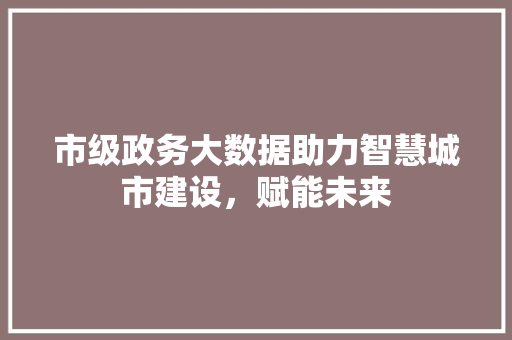 市级政务大数据助力智慧城市建设，赋能未来