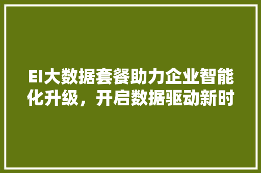 EI大数据套餐助力企业智能化升级，开启数据驱动新时代