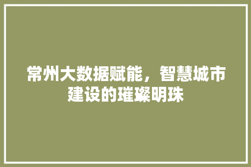 常州大数据赋能，智慧城市建设的璀璨明珠  第1张