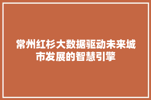 常州红杉大数据驱动未来城市发展的智慧引擎