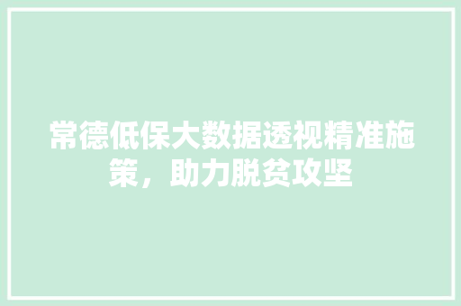 常德低保大数据透视精准施策，助力脱贫攻坚