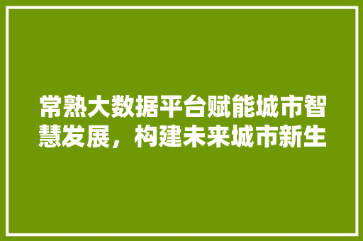 常熟大数据平台赋能城市智慧发展，构建未来城市新生态  第1张