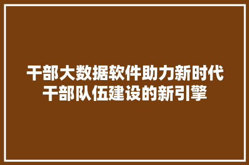 干部大数据软件助力新时代干部队伍建设的新引擎