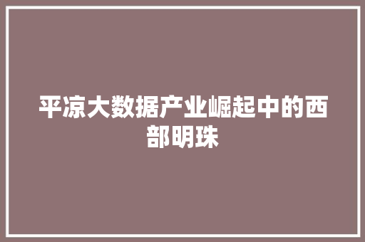 平凉大数据产业崛起中的西部明珠