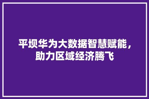 平坝华为大数据智慧赋能，助力区域经济腾飞