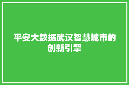 平安大数据武汉智慧城市的创新引擎  第1张